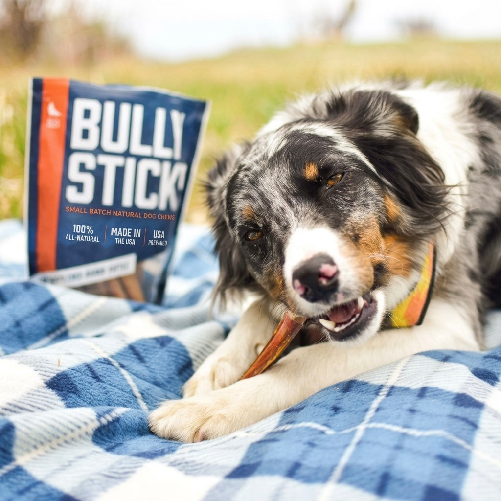 Valix Bully Sticks 2.0 - All-Natural Dental Chews for Dogs