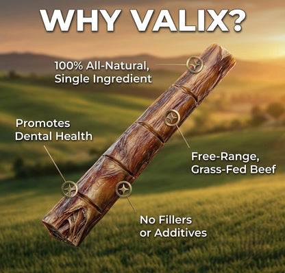 Valix Bully Sticks 2.0 - All-Natural Dental Chews for Dogs