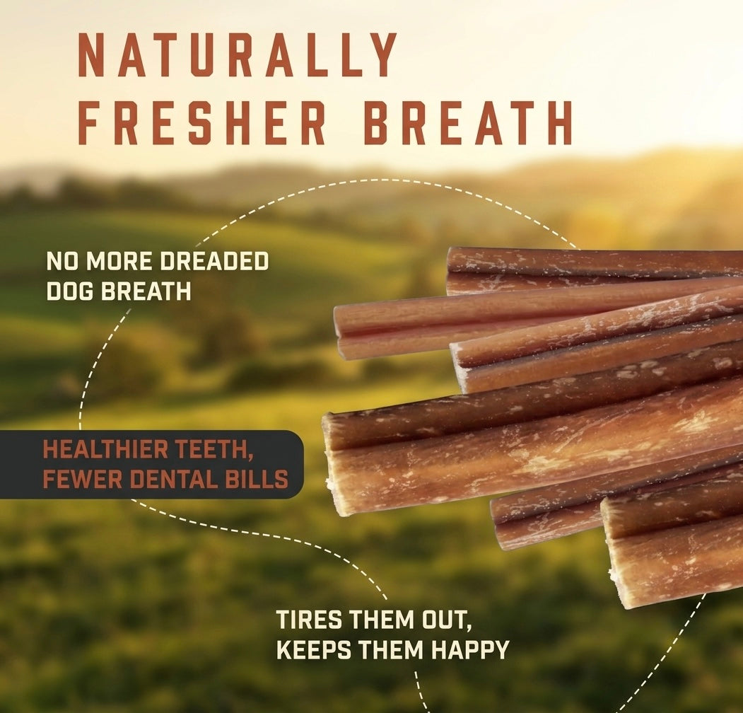 Valix Bully Sticks 2.0 - All-Natural Dental Chews for Dogs