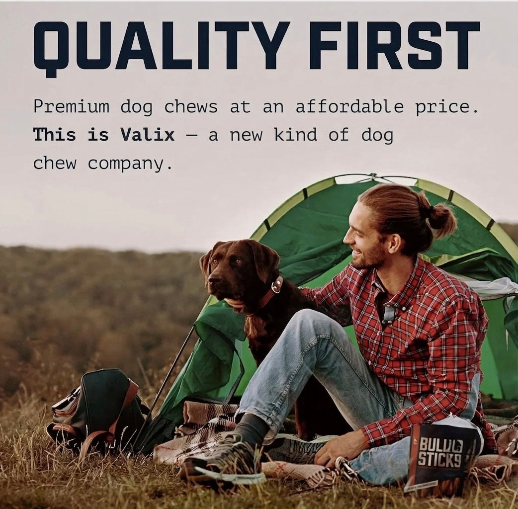 Valix Bully Sticks 2.0 - All-Natural Dental Chews for Dogs